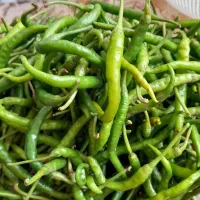 انواع ترشی لیته مخلوط سفارش گرفته میشود