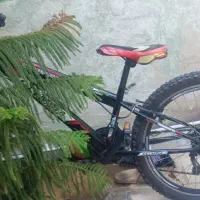 دچرخه 24