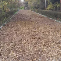 اجاره آپارتمان واقع در پاسدار گمنام