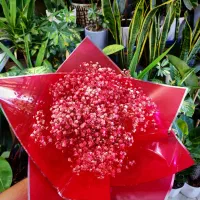 دسته گل|گل و گیاه طبیعی|اصفهان, شمس آباد|دیوار