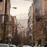 خانم جهت امور خانه