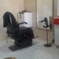 صندلی برقی در حد