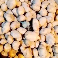 سیب زمینی تازه