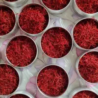 زعفران سرگل درجه یک / مستقیم از کشاورز