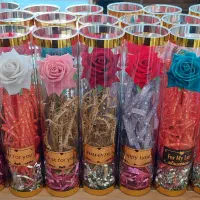 رز ۳۰ سانت دهنه ۶/۵ تک رز مخمل خارجی