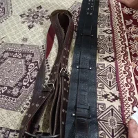 قلق علم کشی|کلکسیون اشیاء عتیقه|مشهد, مصلی (کارمندان اول)|دیوار