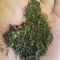 نعنا خشک اعلا