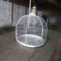 قفس|لوازم جانبی حیوانات|رامهرمز, |دیوار