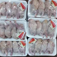 بلدرچین کجا گیرم میاد تو نوراباد