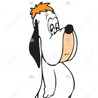 سگ پاکوتاه پیدا شده محدوده میدان