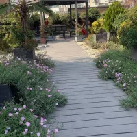 350 متر ویلا دوبلکس +حیاط مشجر زیبا با آلاچیق