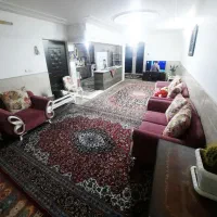 اجاره زیر زمین گلخانه ای محور باغ فین