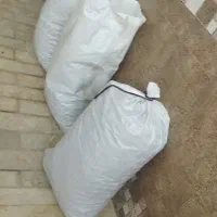 گردو کاغذی امسال کاملاً خشک خوش طعم