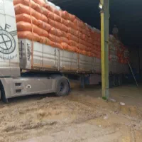 کاه دیم درجه یک کرمانشاه|عمده‌فروشی|گنبد کاووس, |دیوار