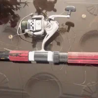 لنسر ماهیگیری