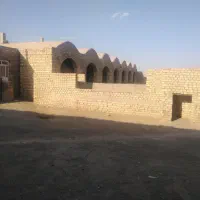 اجاره-دامداری