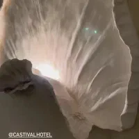 گچبری مدرن شیک|خدمات پیشه و مهارت|مشهد, آبکوه|دیوار