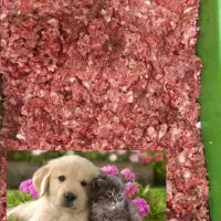 اسکلت با گردن چرخ شده برای سگ و گربه