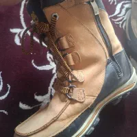 کفش تیمبرلند دیگه همه چیز واضحه|کیف، کفش، کمربند|الوند, |دیوار