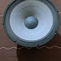 ووفر ۱۵ اینچ ev دایناکورد