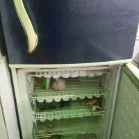 یخچال|یخچال و فریزر|سمنان, |دیوار