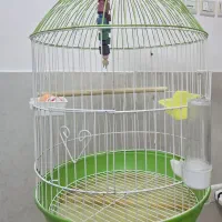 قفس طوطی