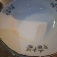 بشقاب غذا خوری چینی قدیمی ۵ عدد|ظروف سرو و پذیرایی|ارومیه, |دیوار