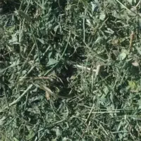 فروش کاه یونجه