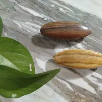 گیره موی چوبی|صنایع دستی و سایر لوازم تزئینی|قوچان, |دیوار