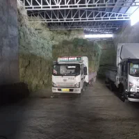 یونجه درجه یک|خدمات باغبانی و درختکاری|شازند, |دیوار