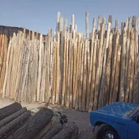 خرید فروش چوب|خدمات باغبانی و درختکاری|خرمآباد, |دیوار