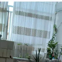 پرده و زیر پرده