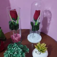 ۴ عدد گل و گلدان بسیار زیبا و شیک با