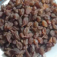 محصولات خانگی صددرصد ارگانیک