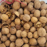 فروش فوری پوست گردو درجه ۱