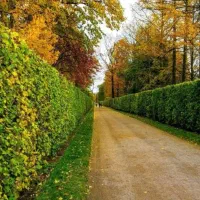 نگهبانی در مجموعه باغ شهری