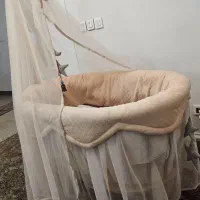 گهواره چوبی|تخت و صندلی بچه|تهران, شهرک چیتگر|دیوار