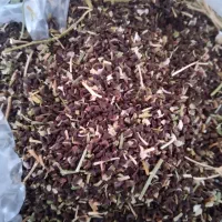 اسفند فقط کیلویی ۱۲۰|گل و گیاه طبیعی|نظرآباد, نظرآباد|دیوار