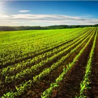 زمین زراعی ۱۵۰۰