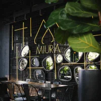 استخدام سالندار مجموعه میورا