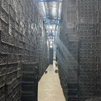 سبد زنی دهقان