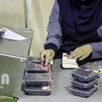 کار در منزل