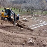 اجاره بیل وبابکت|خدمات باغبانی و درختکاری|تهران, تهرانسر شرقی|دیوار