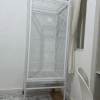 مبل فرش|مبلمان خانگی و میز عسلی|بوشهر, |دیوار