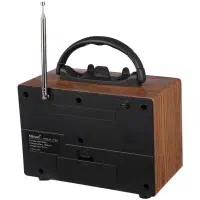 رادیو اسپیکر شارژی بلوتوثی رم و فلشخور باکیفیت|پخشکننده همراه|رشت, کوی طالقانی|دیوار