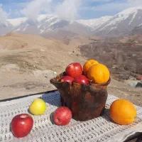 میوه خوری روستیک چوب گردو