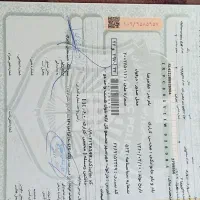 مدارک گمشده