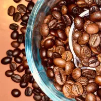 فروش دانه قهوه و پودریجات عمده خرده