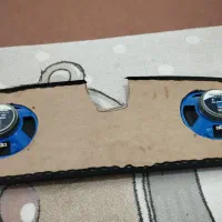 میدرنج سایز 8معاوضه با طوطی برزیلی|صوتی و تصویری|قرچک, قشلاق جیتو|دیوار