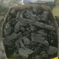 ذغال مویز بلوط